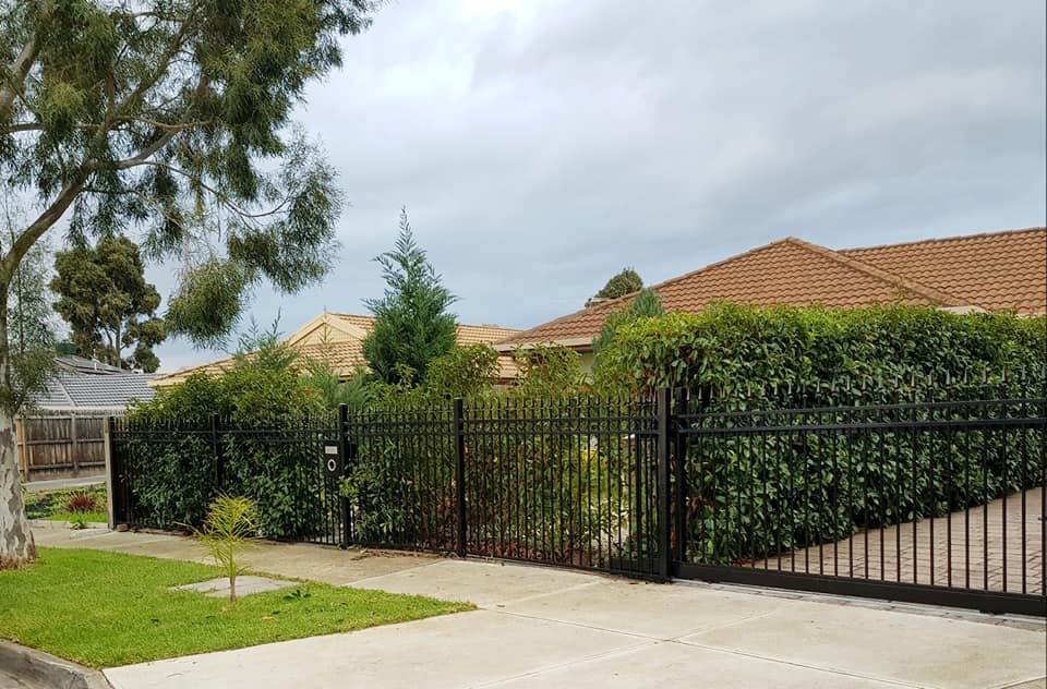 Custom Fence Designs