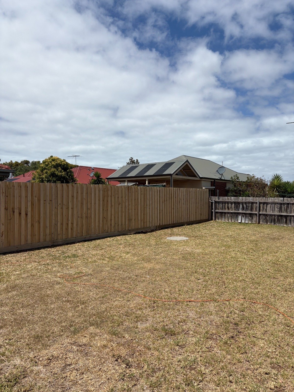 New Paling Fence Installation